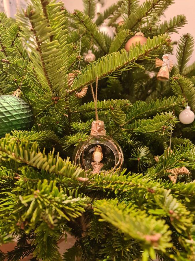 Fruehstueckspension Klein Und Fein Bad Hofgastein Eksteriør billede